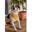 Busy Bee's Reversible Bandana