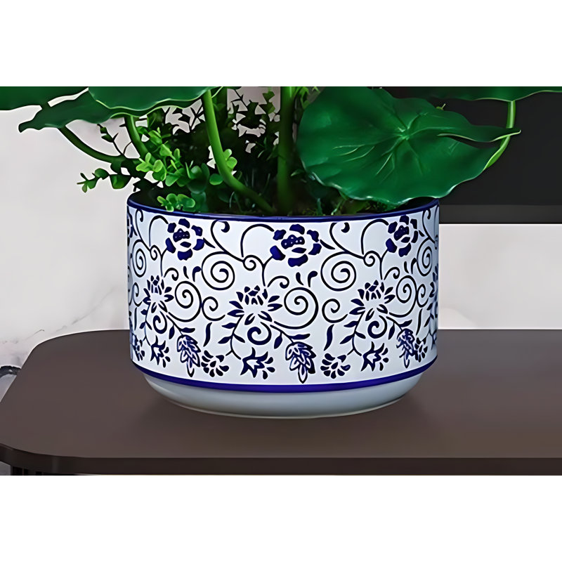 Ranunculus Arrangement in Pot, Rose
