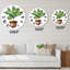 Ficus Lyre dans un pot de fleurs en argile - Horloge murale traditionnelle-60329263
