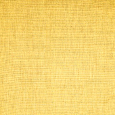 Sauw Performance Abstract Indoor Rug