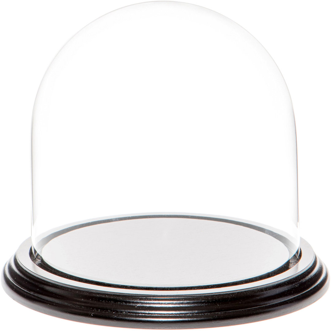 Vucciria 5.5" x 5.5" Glass Display Dome Cloche Ebern Designs