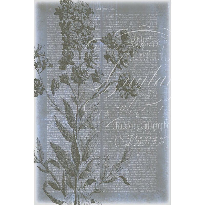 Fleur De Bleu II by Jennifer Goldberger - Wrapped Canvas Print, 46cm H x 30cm W