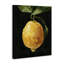 Art abstrait giclée au citron sur une vigne par Emma Caroline-1082170608-1082170621
