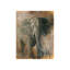 Elephant In Mist Print by Keegan Stewart-26941476-26941478