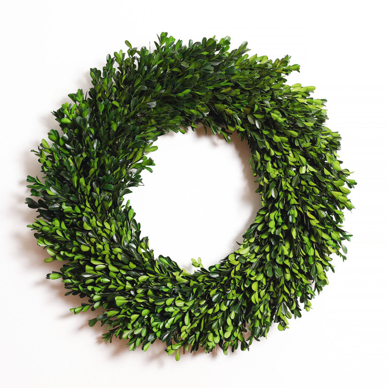 Natural Preserved Green Boxwood Everyday Wreath 22"