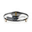 Kordae Flush Mount Dimmable Ceiling Fan with LED Lights-12551999-1850629
