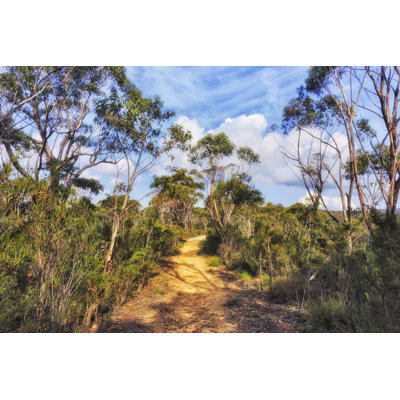 Gumtrees by Zetter - Wrapped Canvas Print