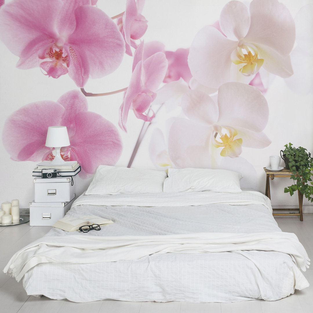 Tapete Zarte Orchideen 3.2m L x 480cm B Spangler