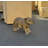 Capybara Baby Life Size Statue