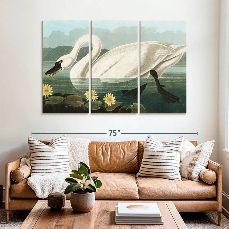 Cygne d'Amérique commun Brampt, H 42 po x l 65 po