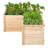 Outdoor Raised Garden Bed
