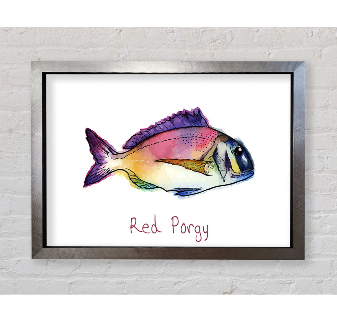 Red Porgy Rainbow Gerahmter Druck Wandkunst