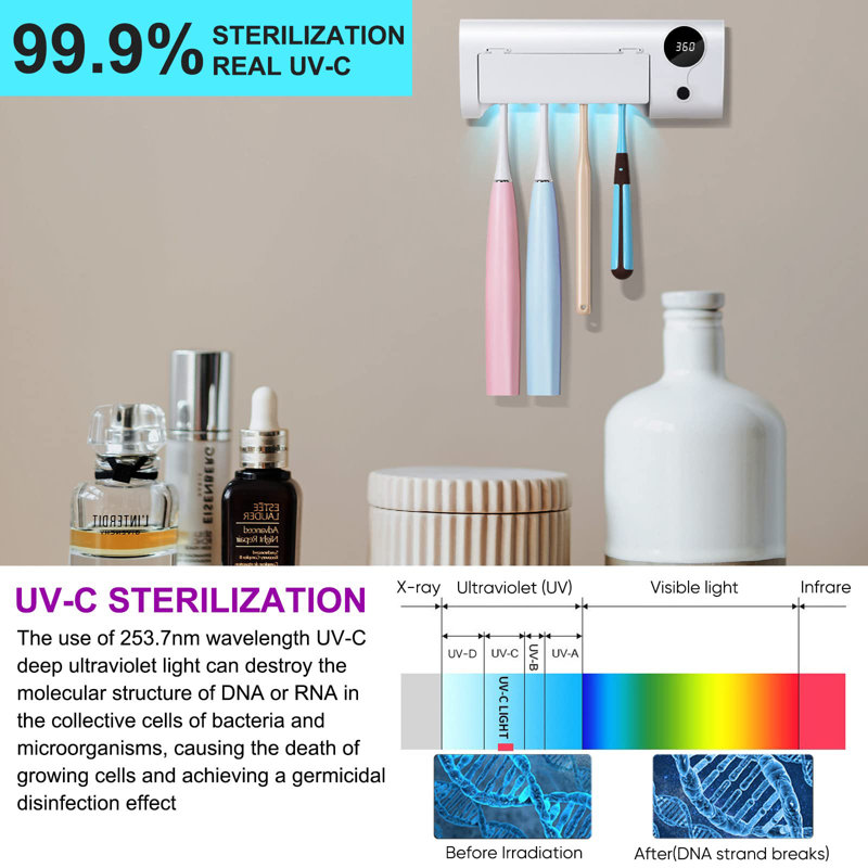 UV Toothbrush Sanitizer with Timer Function