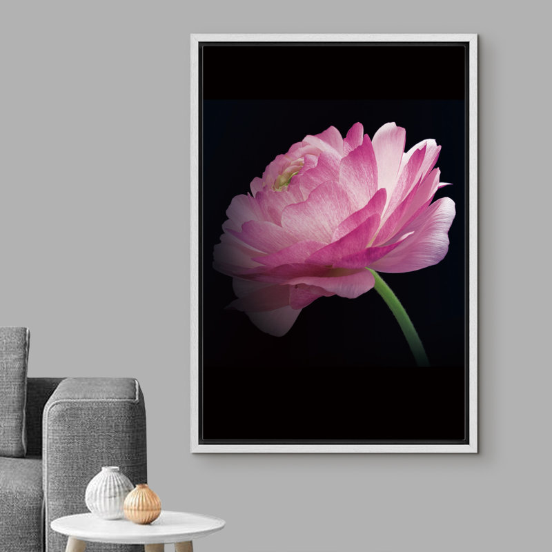 «Flower Blossom Profile Of A Peony» - Photographie à cadre flottant sur toile, H 36 po x l 24 po x P 1,5 po, Cadre blanc