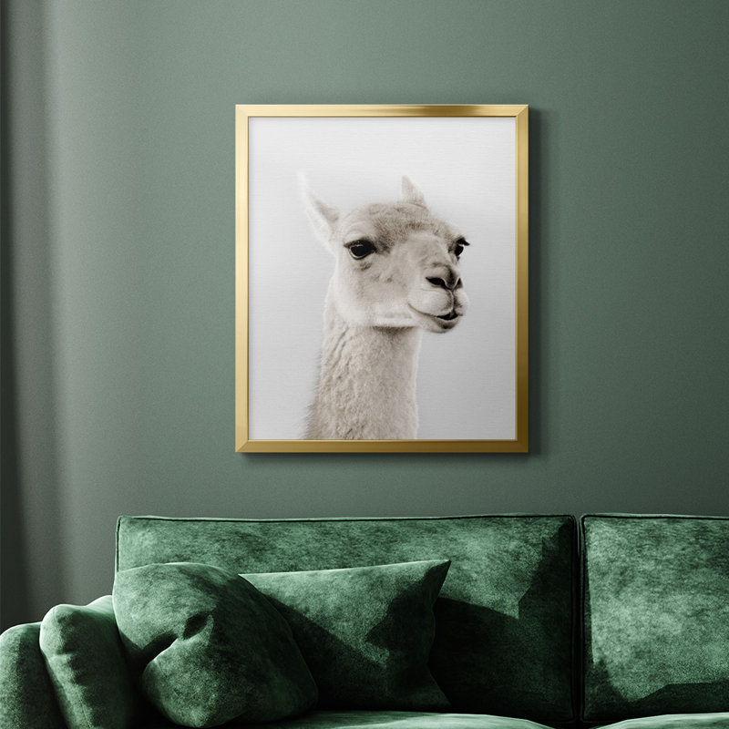 Soft Llama Premium Framed Canvas - Ready to Hang, Gold, 24" H x 20" W