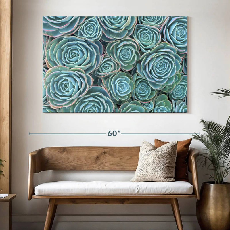 Harnek A Bunch of Succulents, H 34 po x l 51 po