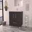 Meuble-lavabo simple avec armoire à double porte