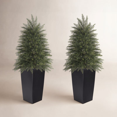 47" Cedar Topiary in Planter