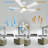 Amonnie 52'' Ceiling Fan with LED Lights-1365979911