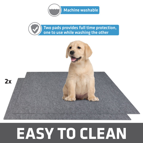 Tucker Murphy Pet™ Instant Absorbent Anti-Slip Washable Reusable Pet Urine  Training Pad & Reviews