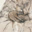 Espera by Paul Meyer-1390214582-1390214581