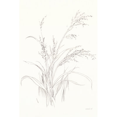 Nature Sketchbook V by Danhui Nai - Wrapped Canvas Painting