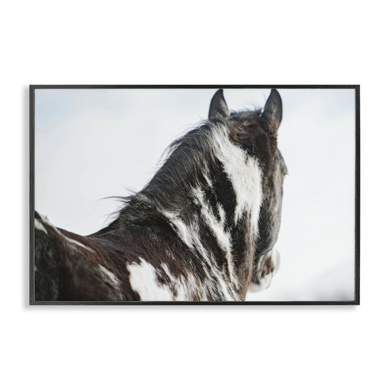 Hibou enneigé, portrait par Amy Carroll, H 12 po x l 18 po, Giclée encadrée noir minuit