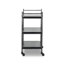 Teagan Bar Cart-Smoked Black Cast Glass