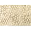 Tapis ivoire à imprimé animal-22280823