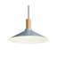 Emblem 1 - Light Pendant-74747930-94655711-107231802