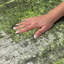 Tapis à poils longs de qualité supérieure lavable à la machine Dream-1234559563-1234559568