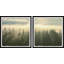 Monaco Sunlight Through Trees 2 Piece Single Picture Frame Wall Art Set-1582497807