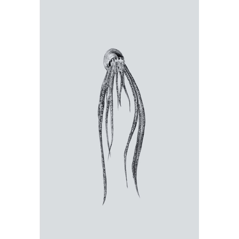 Marine Life I by Melissa Wang - Drawing, Wrapped Canvas, 30 cm H x 20 cm W