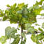Buisson de lierre artificiel-1922033266