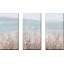 Coastal Morning Blooms - 3 pièces, reproduction sur toile tendue