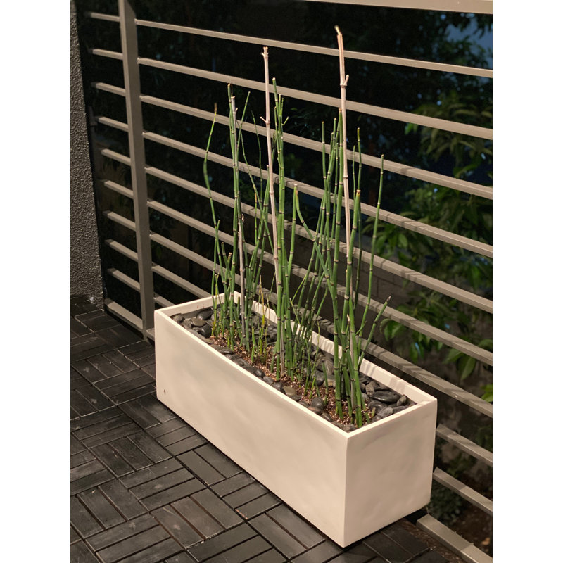 Cogburn Belmont Rectangle Planter Box, White, 10" H x 30" W x 10" D
