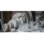 Diamond Crystal Glass-1687351911