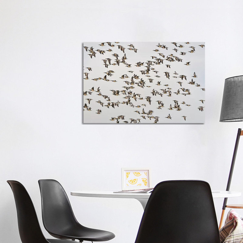 «Barnacle Geese» par Elmar Weiss - Photographie sur toile tendue, H 26 po x l 40 po x 1,5 po
