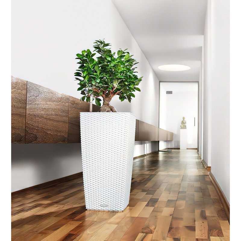 Cubico Pot Planter, 56 cm H x 30 cm W x 30 cm D, White