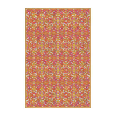 Indoor Rug