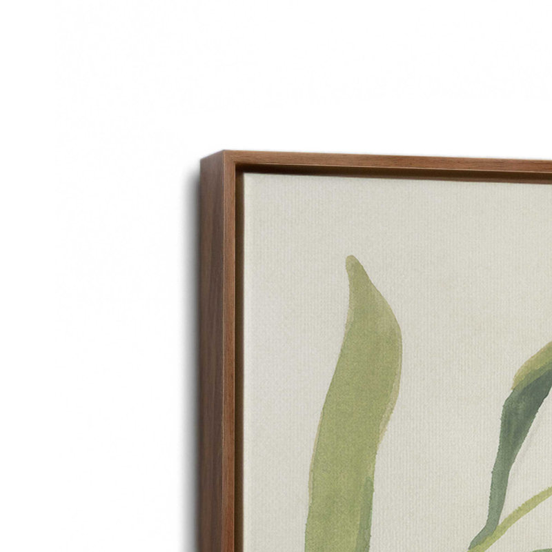 «Snowdrop Stems I» par June Erica Vess, reproduction d'art, H 32 po x l 24 po, Brun