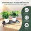 Plant Caddy with Wheels, 2 Pack Heavy Duty Metal Rolling Plant Stand Trolley with Lockable Casters