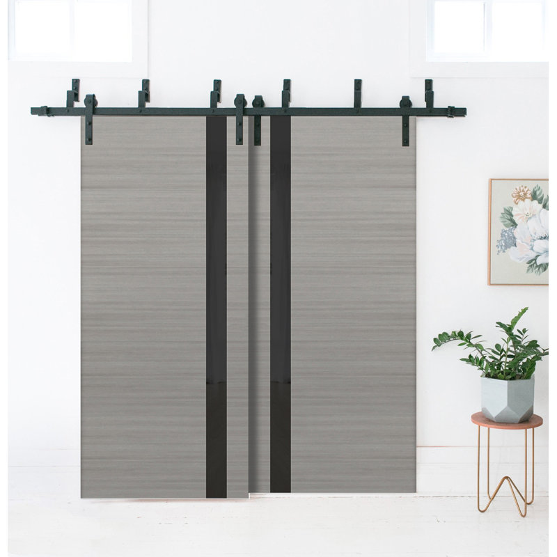 Portes coulissantes en verre givré Planum, Gris cendré / noir, 72 po x 96 po