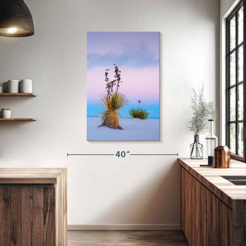 Yucca Soaptree, H 39 po x l 26 po