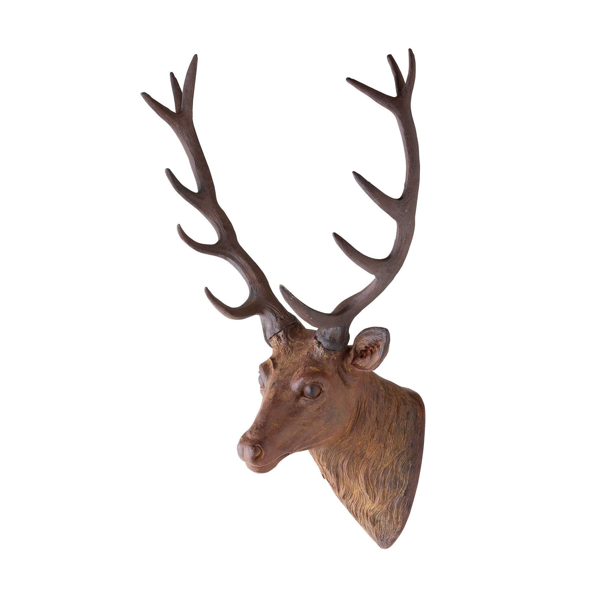 Park Hill Mounted Deer Wall Decor Wayfair