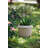 Pot Planter