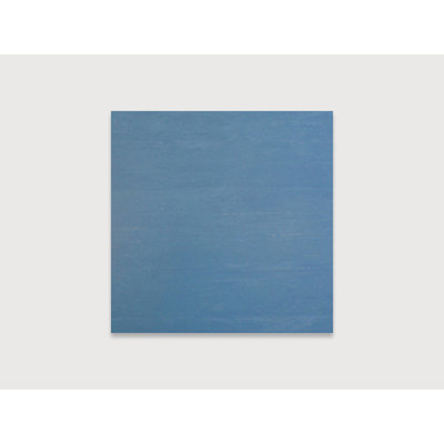 Bleu arc-en-ciel 24 po x 24 po