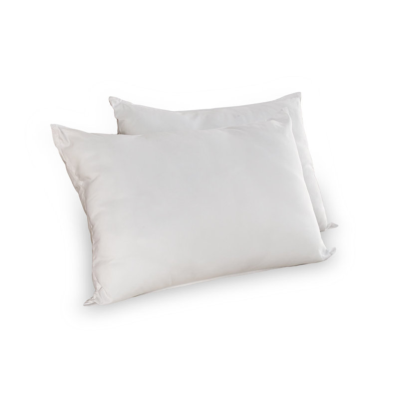 Wayfair Sleep™ Polyester Plush Pillow, King Pillow: 20" x 36"