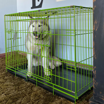 Caisse pour animaux