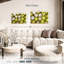 Collection de balle de Sirci-107489552